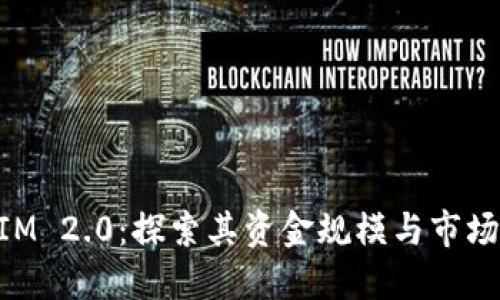 TokenIM 2.0:探索其资金规模与市场影响力