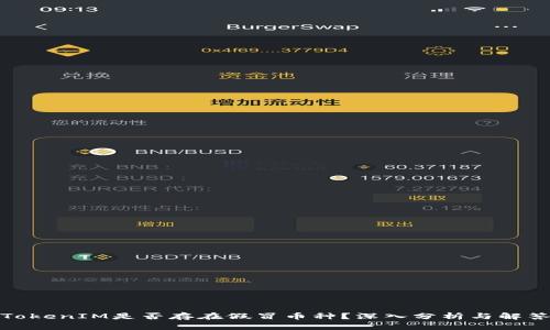TokenIM是否存在假冒币种?深入分析与解答