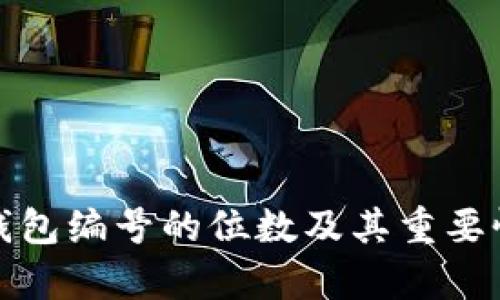 数字钱包编号的位数及其重要性解析