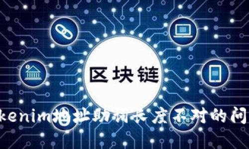 如何解决Tokenim地址助词长度不对的问题:详细指南