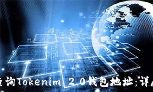 如何查询Tokenim 2.0钱包地址:详尽指南