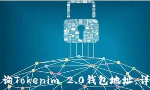 如何查询Tokenim 2.0钱包地址:详尽指南