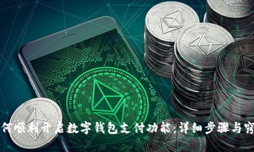 如何顺利开启数字钱包支付功能:详细步骤与窍门