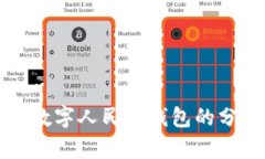 全面解析数字人民币钱包的分类与功能