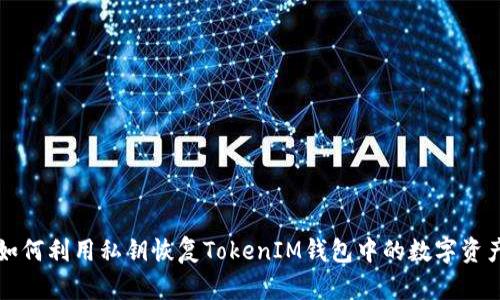 如何利用私钥恢复TokenIM钱包中的数字资产