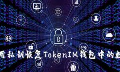 如何利用私钥恢复TokenIM钱包中的数字