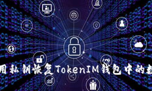 如何利用私钥恢复TokenIM钱包中的数字资产