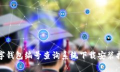 数字钱包编号查询系统下载安装指南