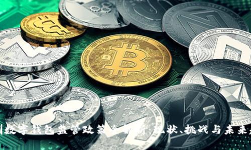 深圳数字钱包监管政策全解析:现状、挑战与未来趋势