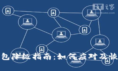 建行数字钱包降级指南:如何应对及恢复方法解析
