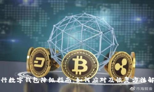 建行数字钱包降级指南:如何应对及恢复方法解析