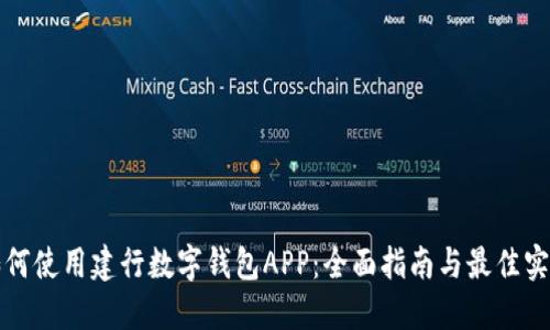 如何使用建行数字钱包APP:全面指南与最佳实践