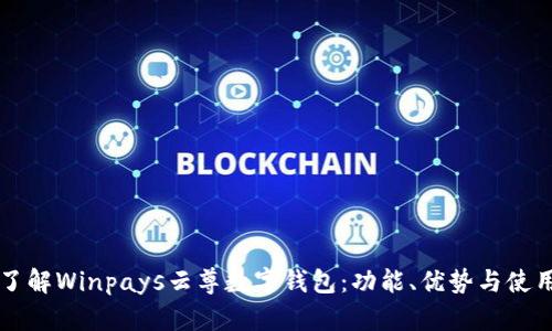 深入了解Winpays云尊数字钱包:功能、优势与使用指南