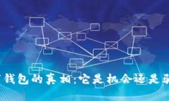 数字钱包的真相：它是机会还是骗局？