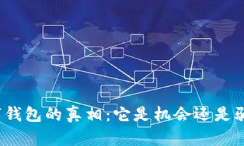 数字钱包的真相:它是机会还是骗局?