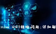 如何解决Tokenim DOT转账问题：详细解析