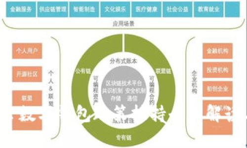 2023年对公数字钱包政策扶持全面解读与未来展望