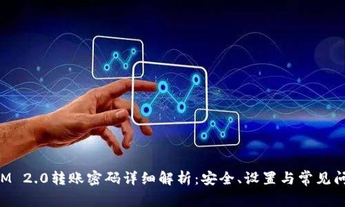 TokenIM 2.0转账密码详细解析:安全、设置与常见问题解答