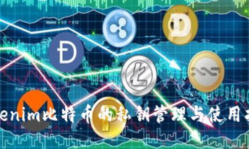 Tokenim比特币的私钥管理与使用指南