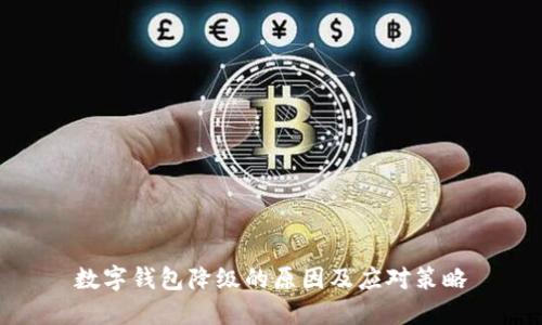 数字钱包降级的原因及应对策略