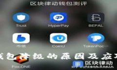 数字钱包降级的原因及应对策略