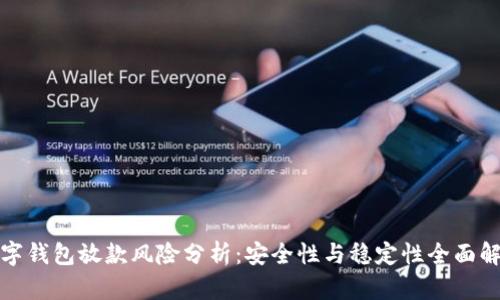 数字钱包放款风险分析:安全性与稳定性全面解析