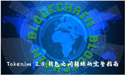 Tokenim 2.0:钱包之间转账的完整指南