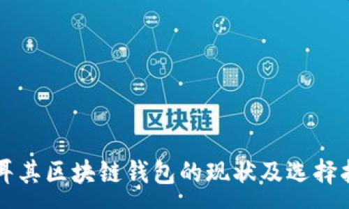 :
土耳其区块链钱包的现状及选择指南