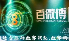 如何选择最适合您的数字钱包：数字钱