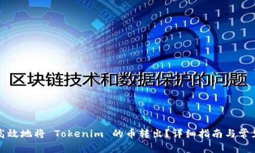 如何安全高效地将 Tokenim 的币转出?详细指南与常见问题解析