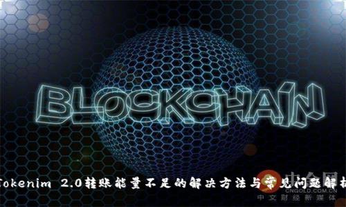 Tokenim 2.0转账能量不足的解决方法与常见问题解析