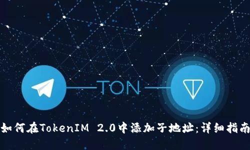 如何在TokenIM 2.0中添加子地址:详细指南