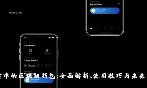 现实中的区块链钱包:全面解析、使用技巧与未来发展