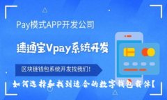 如何选择和找到适合的数字钱包载体？