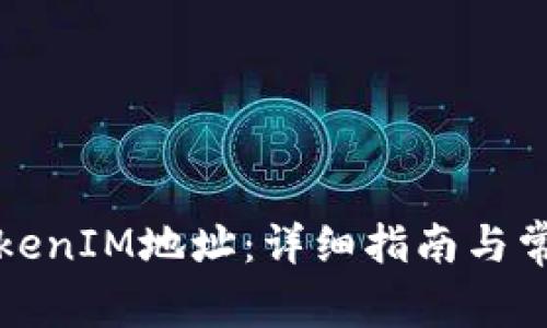 如何查询TokenIM地址:详细指南与常见问题解答