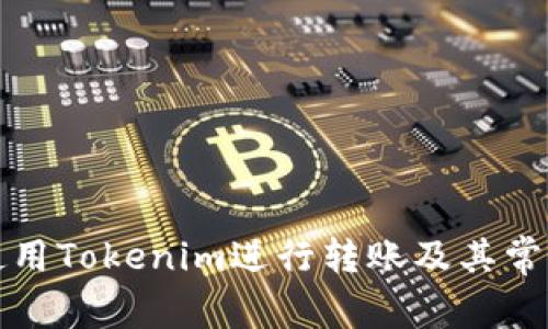 如何高效使用Tokenim进行转账及其常见问题解答