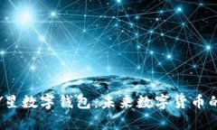 全面解析Y星数字钱包：未来数字货币