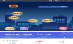 全面解析数字钱包导入手环的前景与影