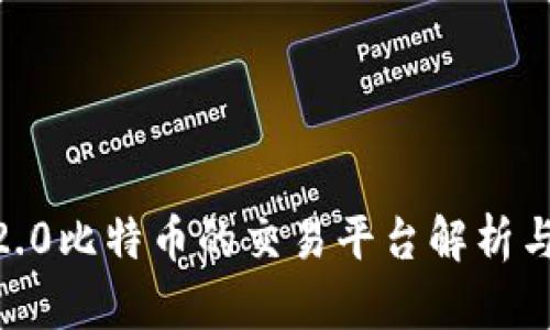 tokenim2.0比特币的交易平台解析与投资指南