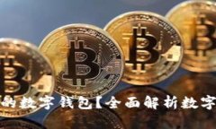 如何选择安全的数字钱包？全面解析数