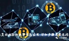 如何恢复被删除的数字钱包应用：详细
