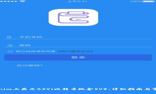 如何在Tokenim上显示BSV(比特币现金SV):详细指南与常见问题解答
