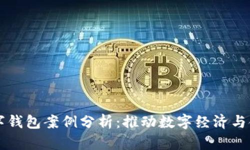 南安数字钱包案例分析:推动数字经济与金融创新