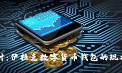 深入探讨：伊拉克数字货币钱包的现状