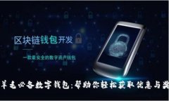 薅羊毛必备数字钱包：帮助你轻松获取