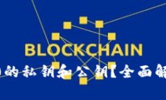 什么是Tokenim2.0的私钥和公钥？全面解