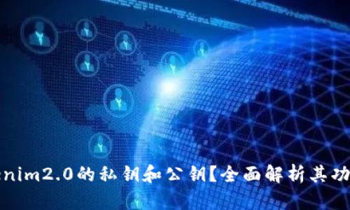 什么是Tokenim2.0的私钥和公钥?全面解析其功能与安全性