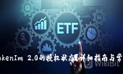 如何查询TokenIm 2.0的授权状态?详细指南与常见问题解析