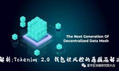 深入解析：Tokenim 2.0 钱包被风控的原因