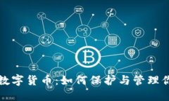 数据钱包与数字货币：如何保护与管理